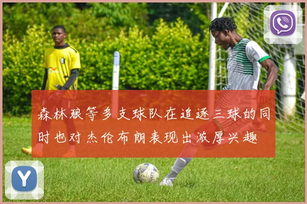 森林狼等多支球队在追逐三球的同时也对杰伦布朗表现出浓厚兴趣