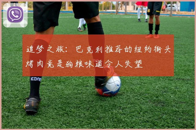 追梦之旅：巴克利推荐的纽约街头烤肉竟是狗粮味道令人失望